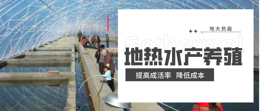 天鎮縣依托地熱資源 發展水產養殖-地熱溫室養殖-地大熱能 天鎮縣依托地熱資源 發展水產養殖-地熱溫室養殖-地大熱能